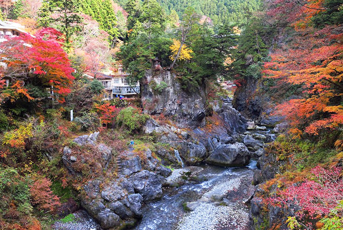 Die Herbstfarben in der Hatonosu-Schlucht