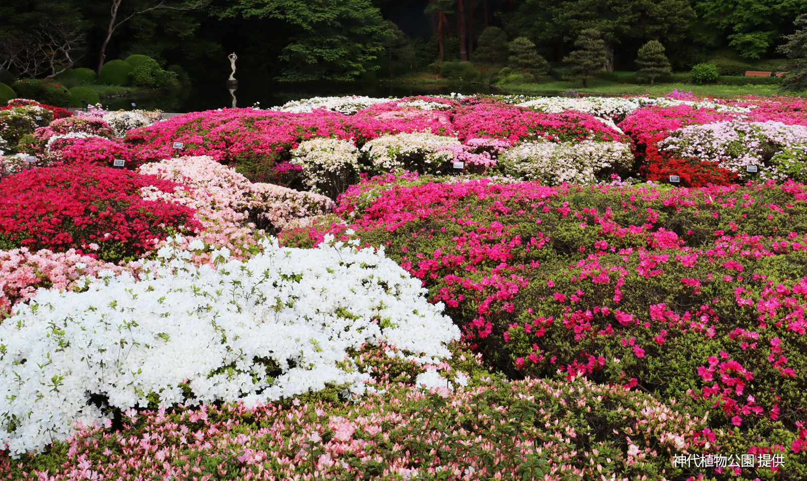 Jindai Botanical Gardens,