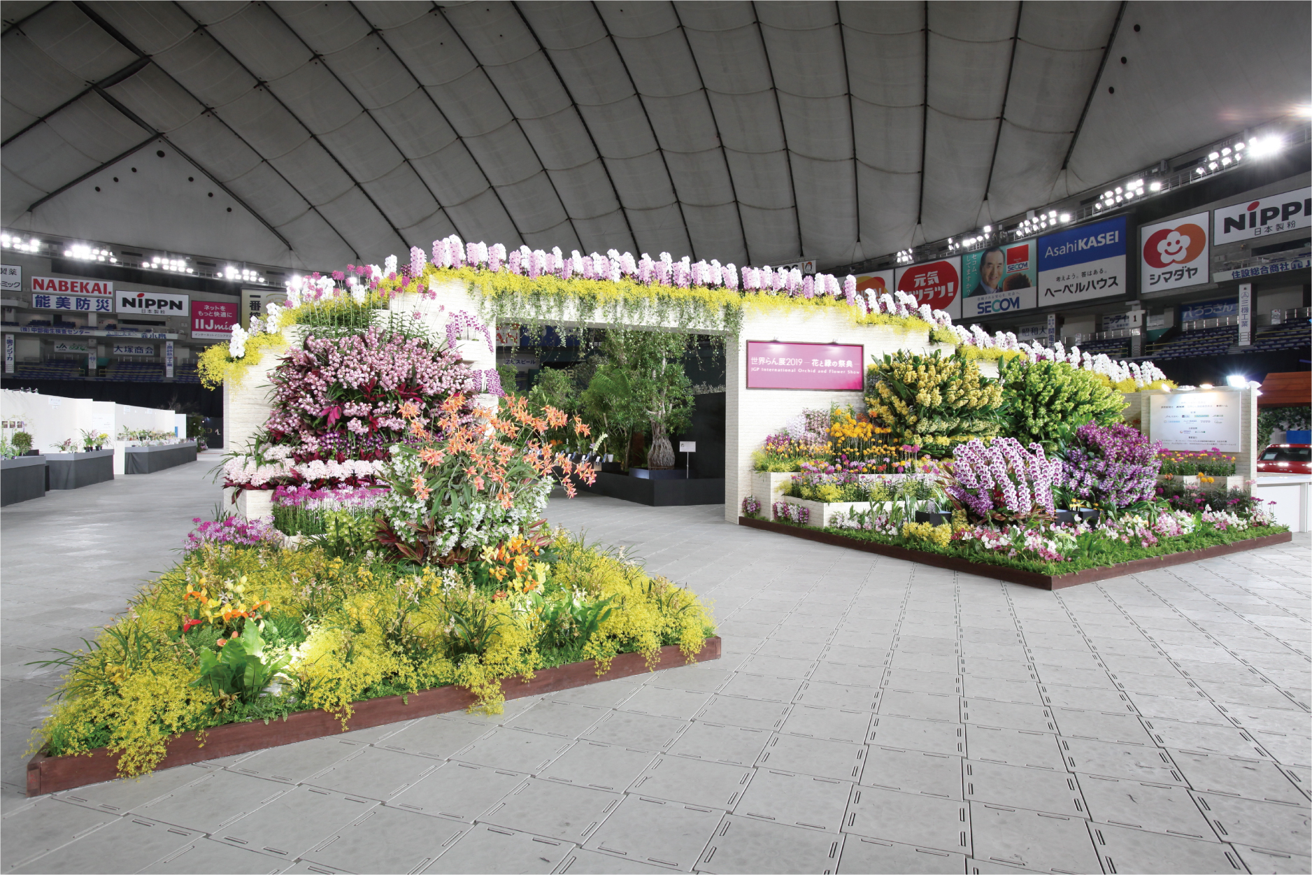 Japan Grand Prix International Orchid and Flower Show 2020 at Tokyo Dome