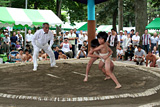 Hassaku Sumo Festival