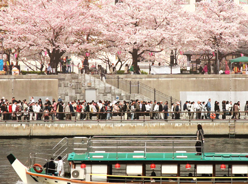 Sumida River
