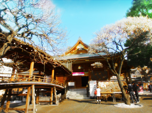 Yushima Tenmangu Shrine 