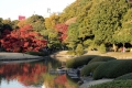 Rikugi-en Garden (Autumn Leaves) 15
