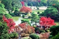 Rikugi-en Garden (Autumn Leaves) 6