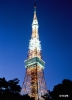 Tokyo Tower 3