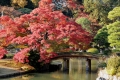 Rikugi-en Garden (Autumn Leaves) 3