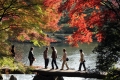 Rikugi-en Garden (Autumn Leaves) 4