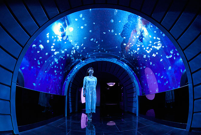 L’acquario Sunshine (il tunnel delle meduse)