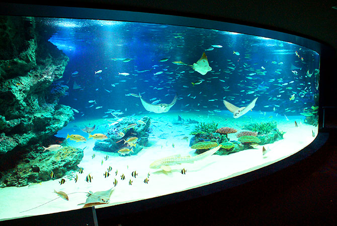 Sunshine Aquarium (Lagune)