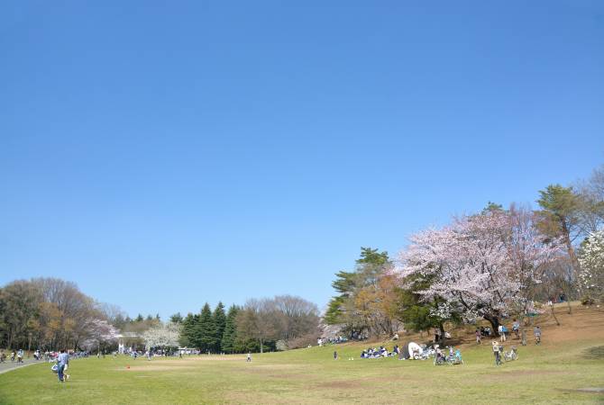 Il parco di Hikarigaoka