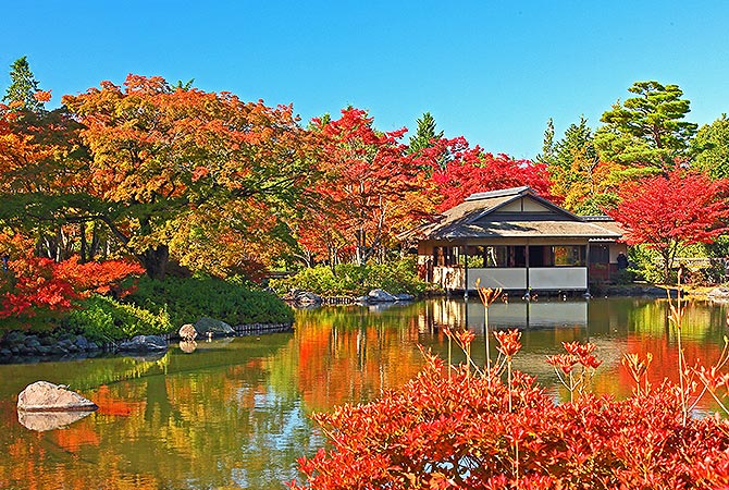 Parque Showa Kinen (jardín japonés)
