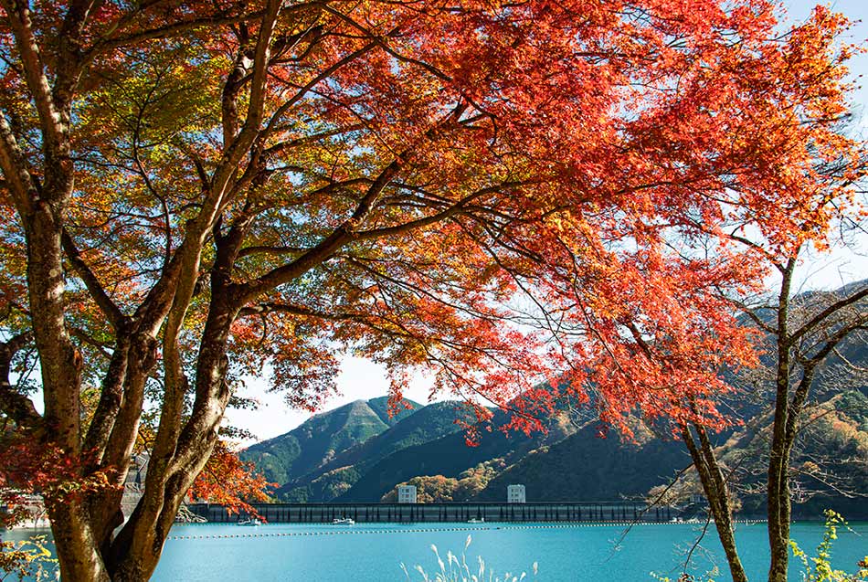 Il lago Okutama in autunno