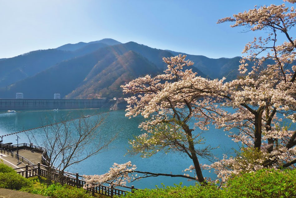 Il lago Okutama in primavera