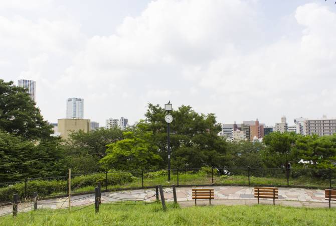 สนามหญ้าของสวนสาธารณะไซโกยามะ