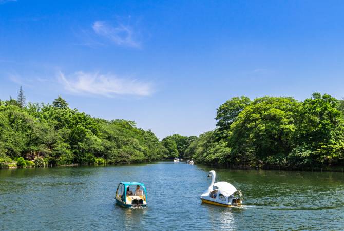 Stagno del parco di Inokashira (barche)