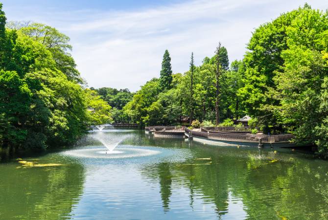 이노카시라 공원의 연못