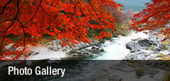 Photo gallery