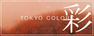Tokyo Colors