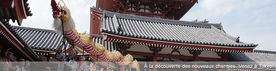 À la découverte des nouveaux charmes. Venez à Tokyo!