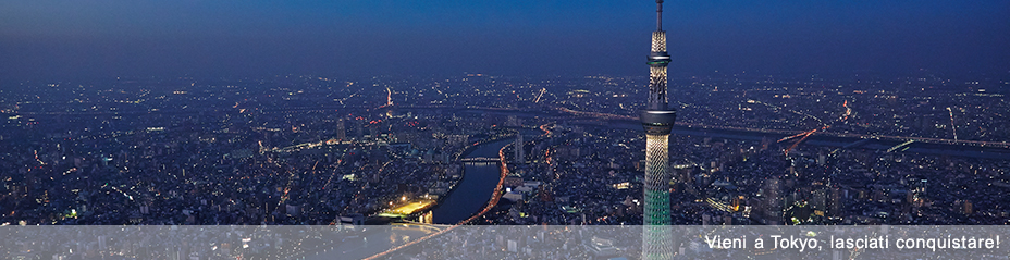Vieni a Tokyo, lasciati conquistare!