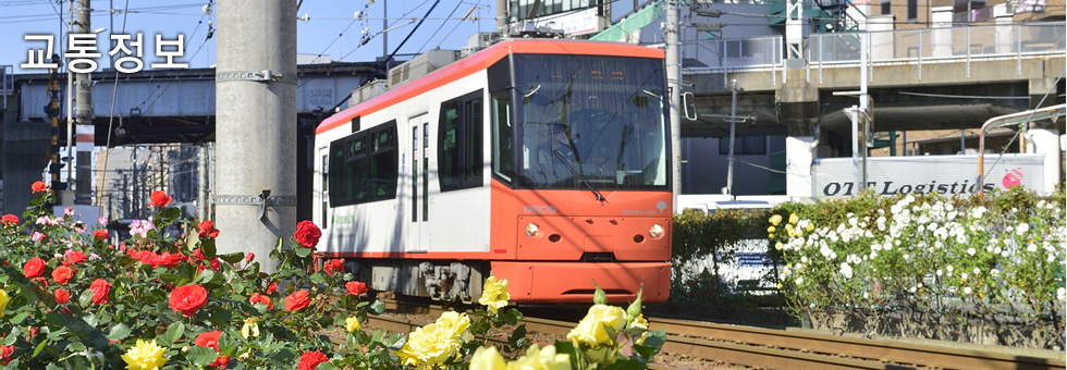 Festival 일본의 축제