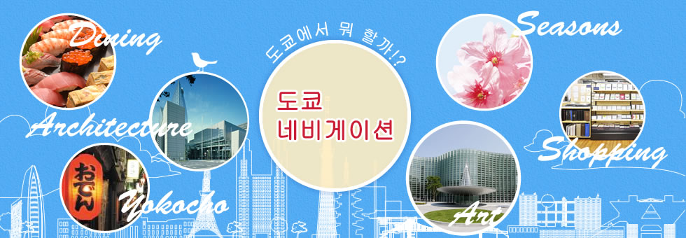 Sakura 일본의 벚꽃