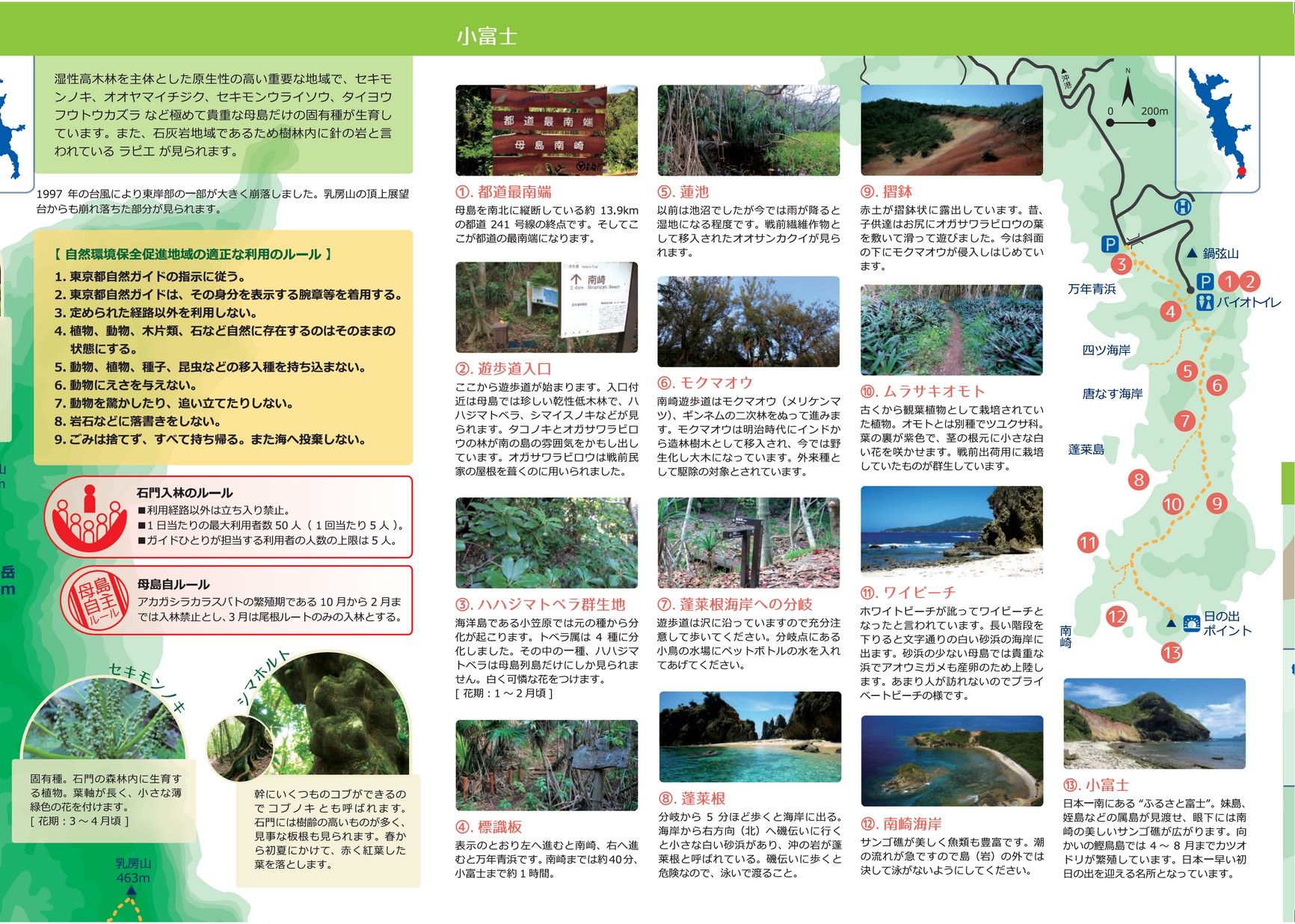 1912_hahajima-fieldbook_JP