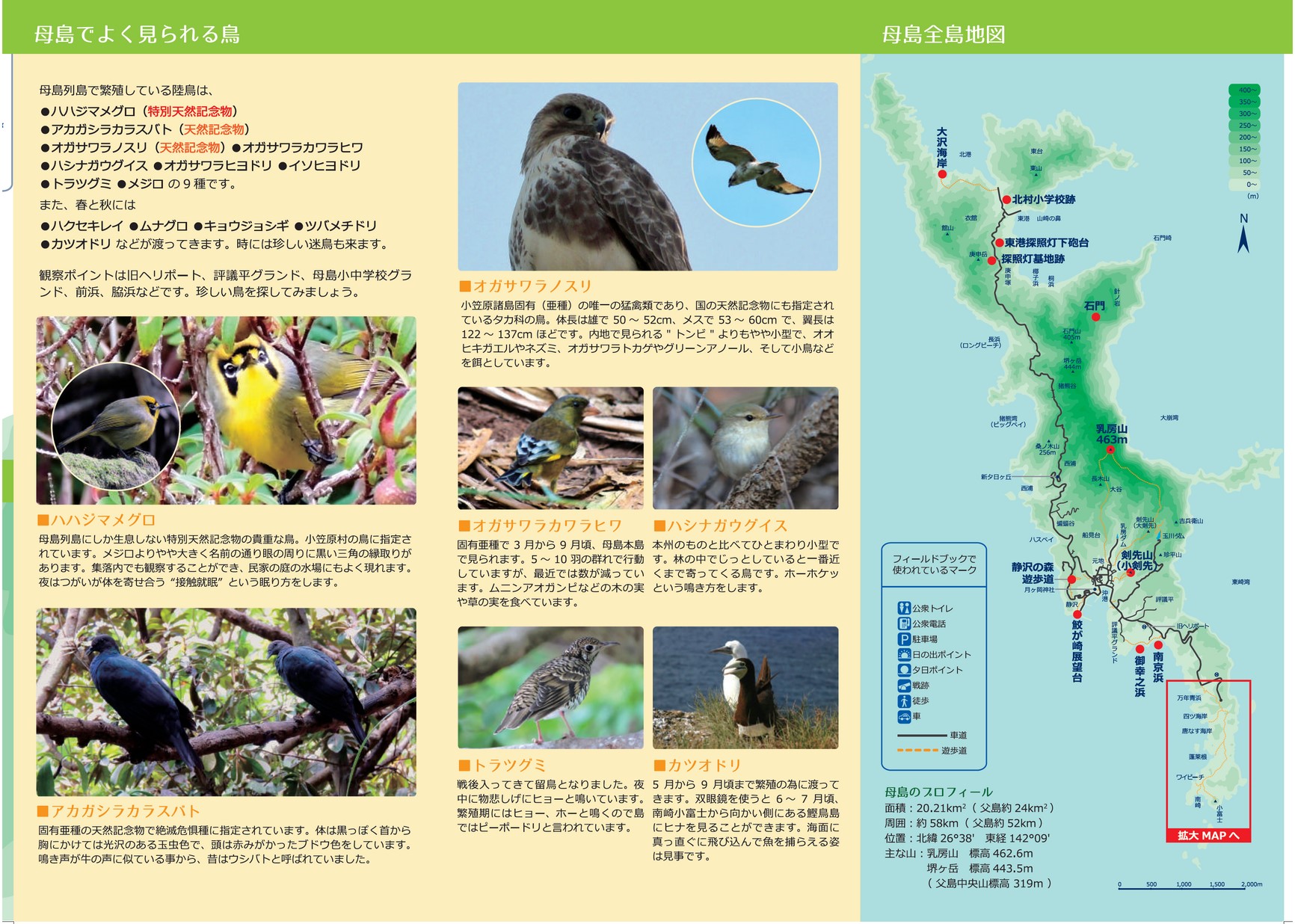 1912_hahajima-fieldbook_JP