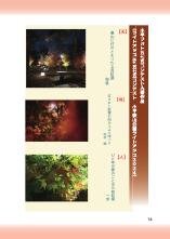 2511_kodairahaiku_JP