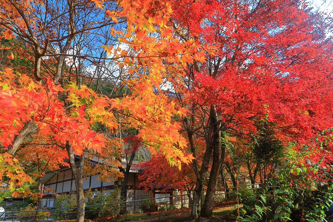 山のふるさと村