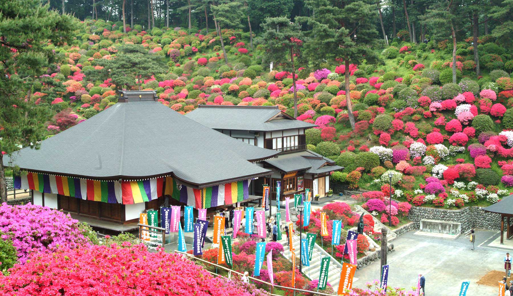 つつじ開花時期の塩船観音寺の写真