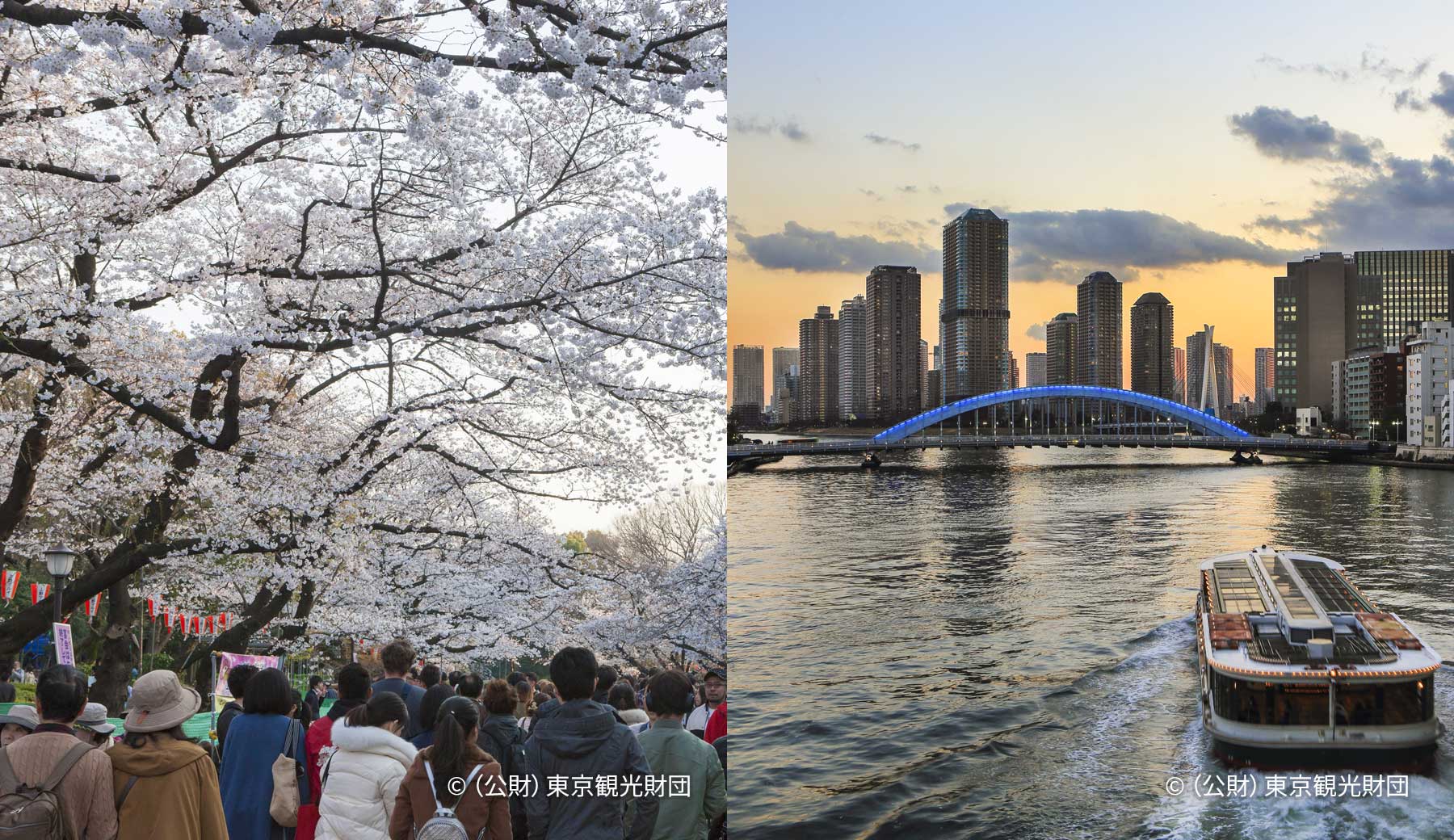 花見時期の上野公園で桜の木の下をそぞろ歩く人々の背中の写真と、夕方の隅田川を青く光る永代橋に向かって進む水上バスの写真