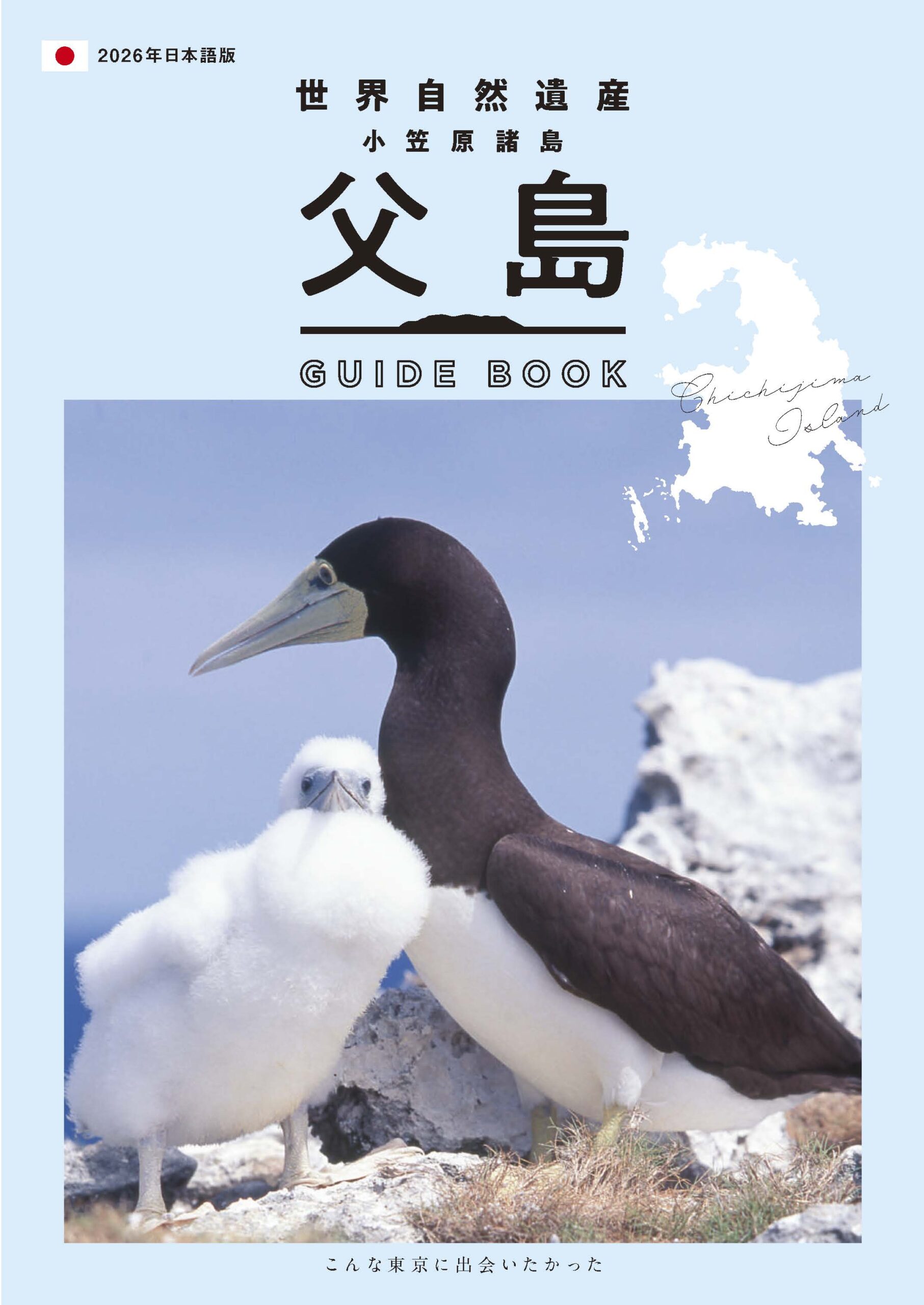 70　児童躾方.画図手引　小笠原諸禮大全　上.下　2冊 70 児童躾方.画図手引 小笠原諸禮大全 上.下 2冊 【公式通販】