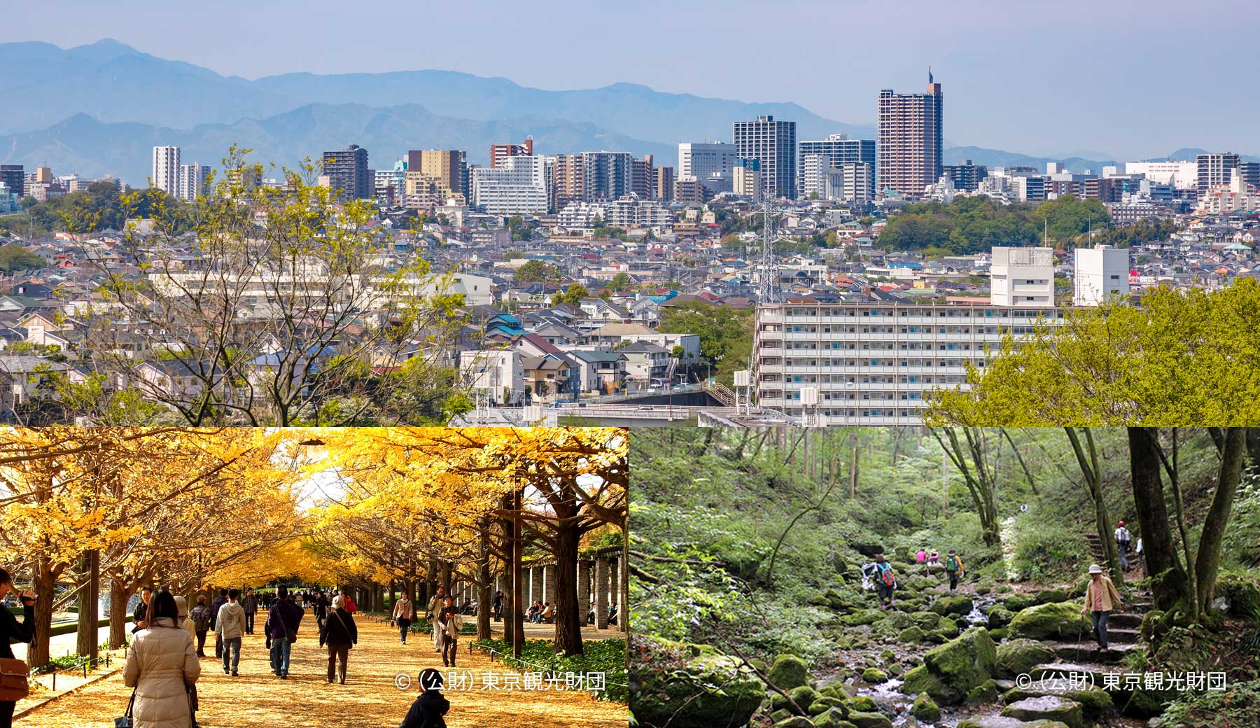 東京都町田市の町田駅方面の写真、昭和記念公園のかたらいのイチョウ並木の写真、御岳山ロックガーデンの写真