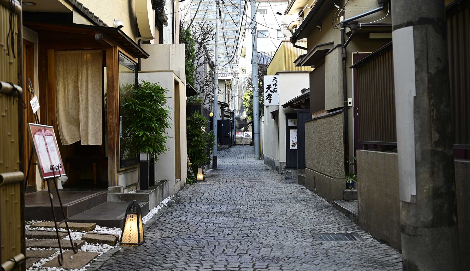 神楽坂の石畳が敷かれた小道の様子。細い道に沿って趣のある竹垣や和風な看板のレストランなどが並ぶ。