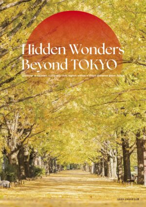 Hidden Wonders Beyond TOKYO