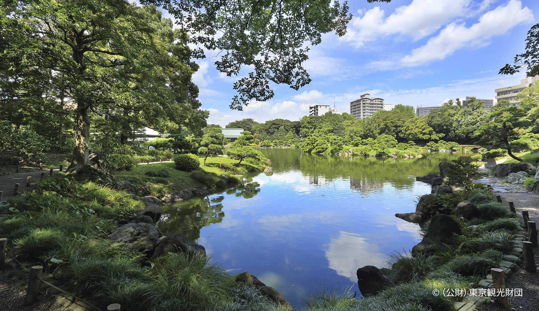 清澄庭園の写真。池の辺りを囲むように散策路が作られている。散策路は深い木々に覆われている。