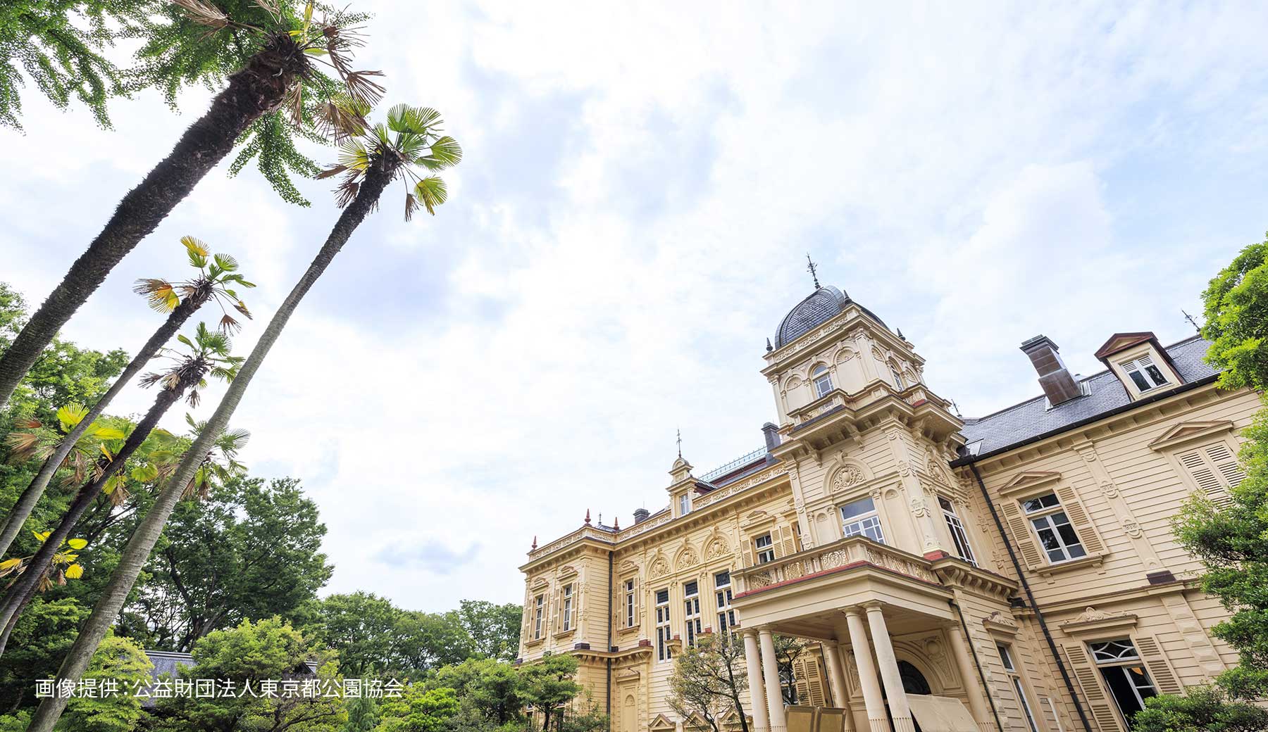 旧岩崎邸庭園 洋館の正面玄関とその周囲の植栽が写った写真。繊細な装飾が特徴の洋館の正面玄関があり、手前に広がる車寄せの周囲には、背の高いシュロなどの豊かな緑が植えられている。