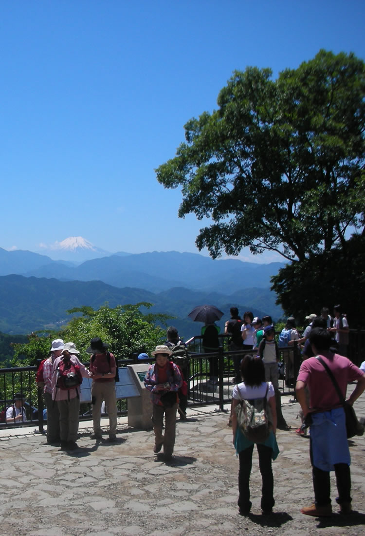 高尾山及其周边 东京旅游官方网站go Tokyo