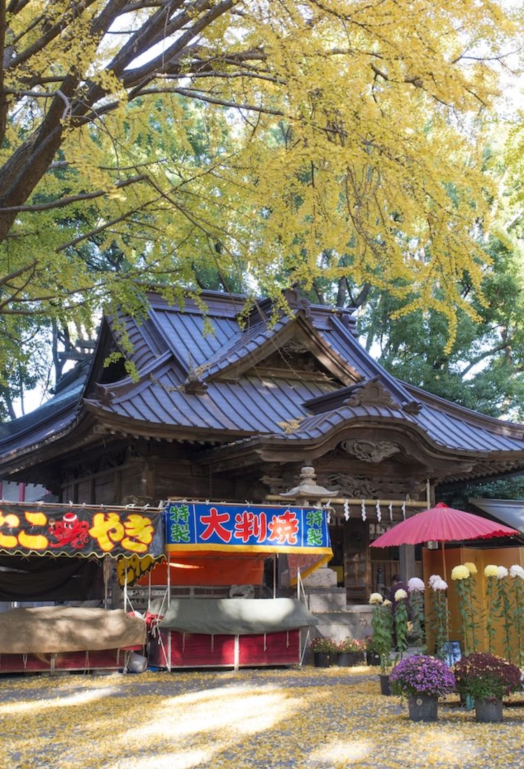 西东京_东京旅游官方网站GO TOKYO