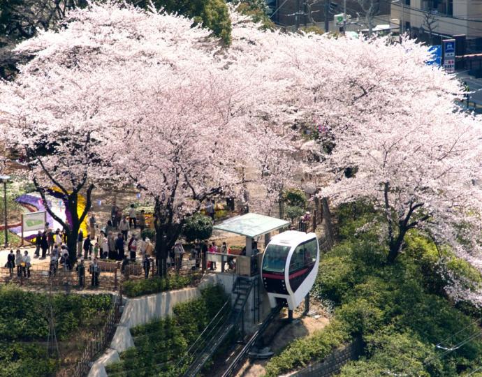 Asukayama Park