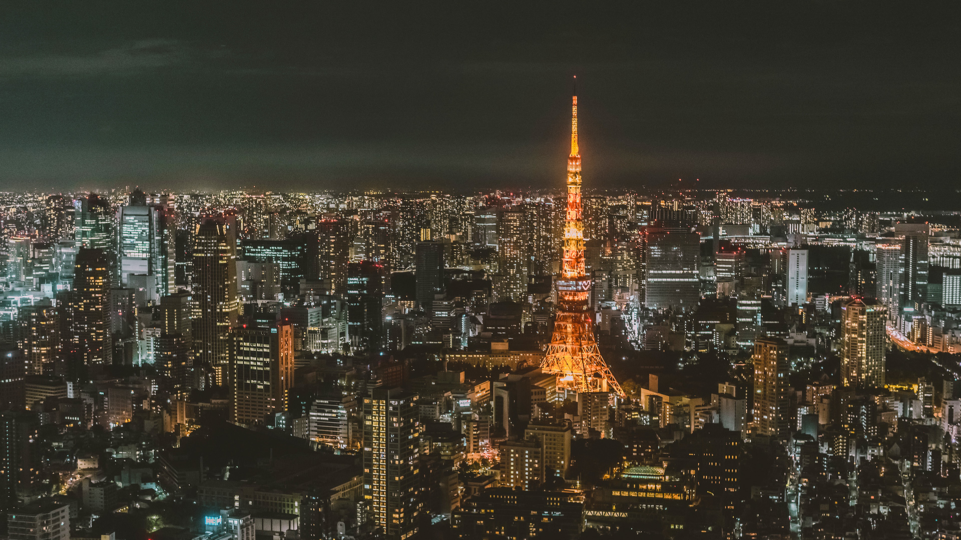 东京的城市夜景尽在眼前_东京旅游官方网站GO TOKYO