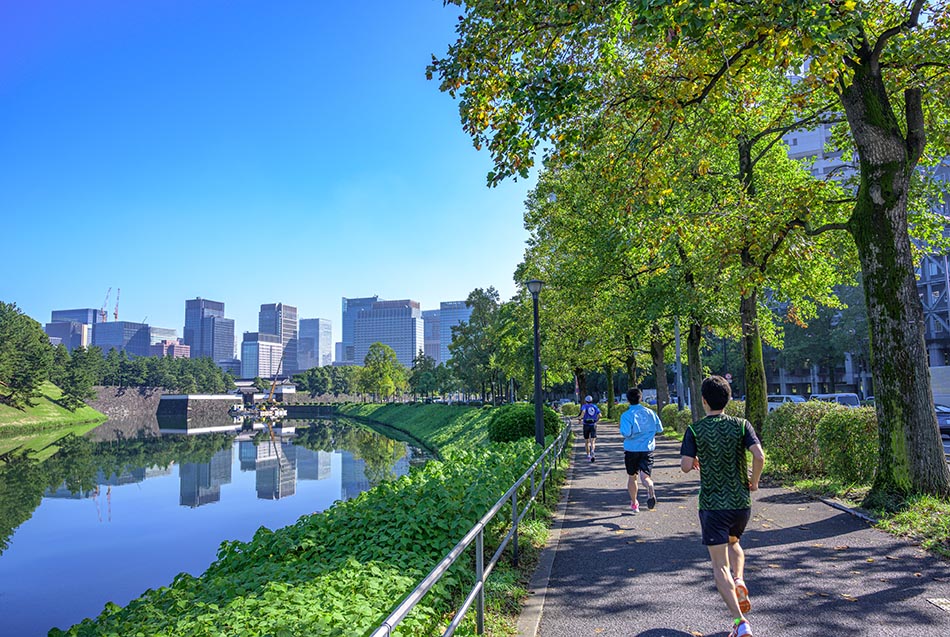 Nationalgarten Kokyo Gaien