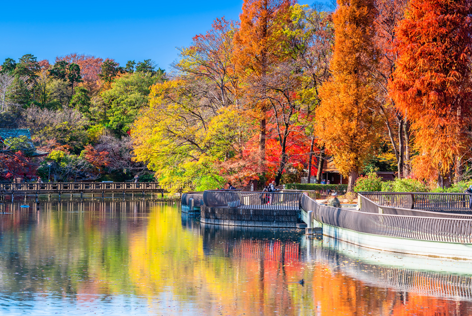 Inokashira-Park