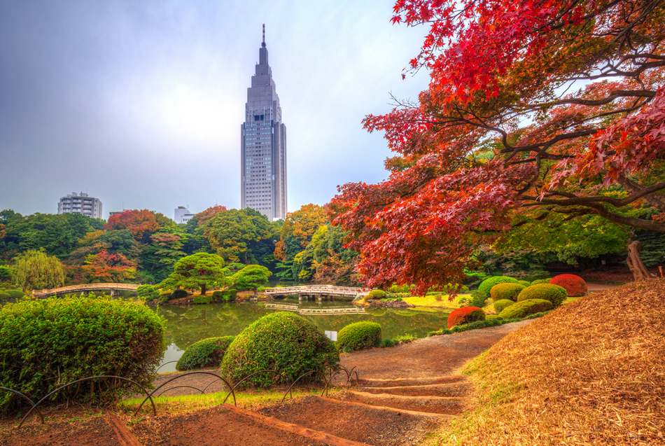 Nationalgarten Shinjuku Gyoen