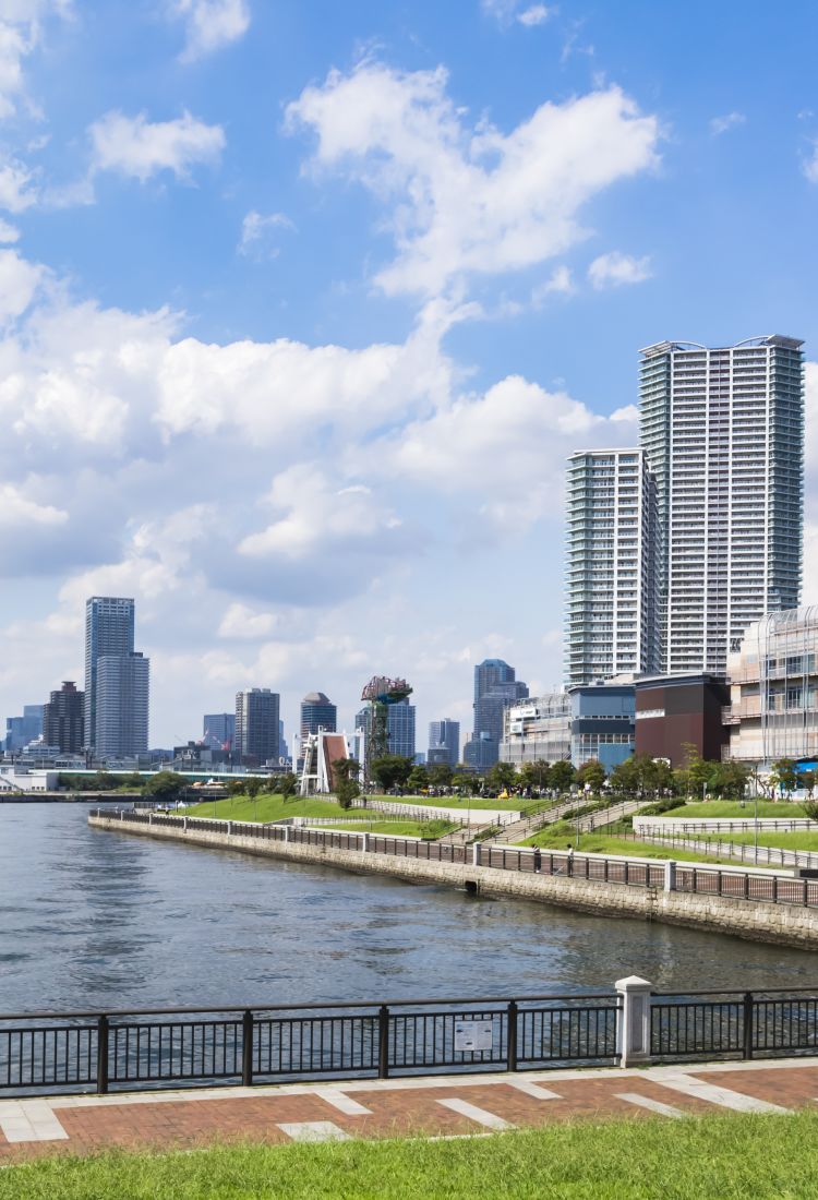 Toyosu Market Calendar 2024 Calendar 2024