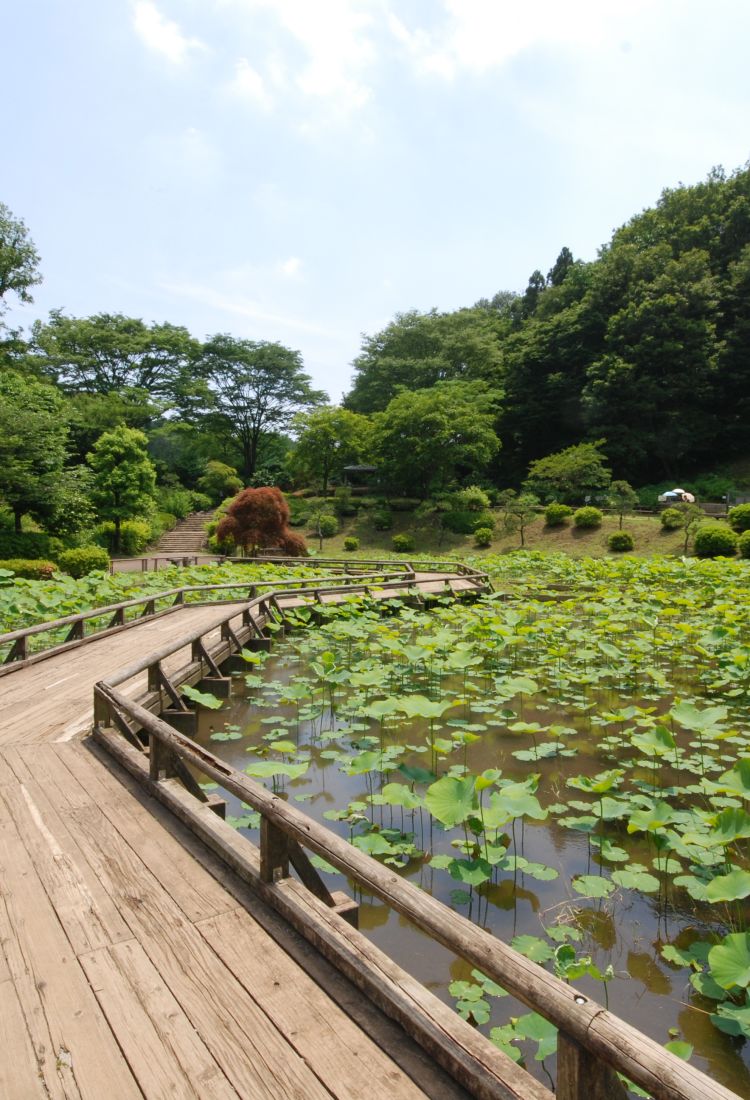 Machida The Official Tokyo Travel Guide, GO TOKYO