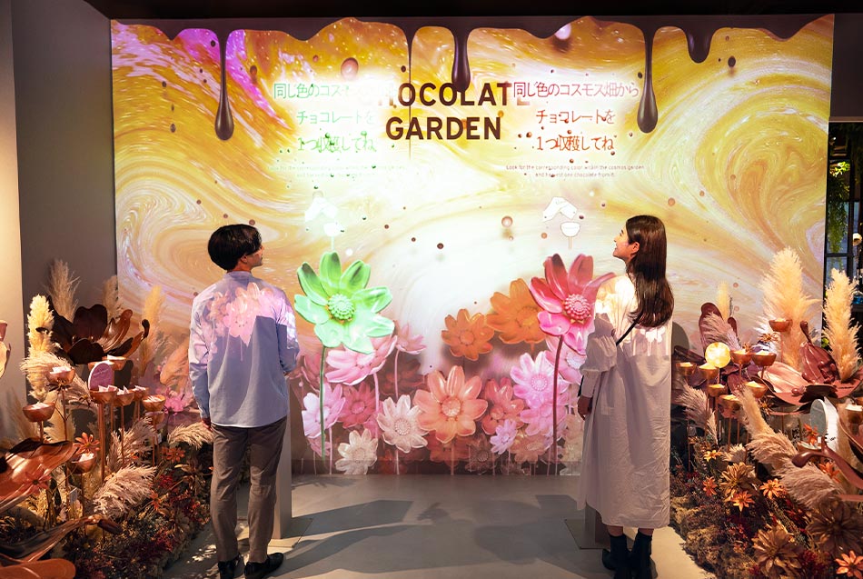 Enjoy flower tourism in Tachikawa during autumn