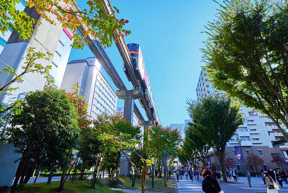 Enjoy flower tourism in Tachikawa during autumn