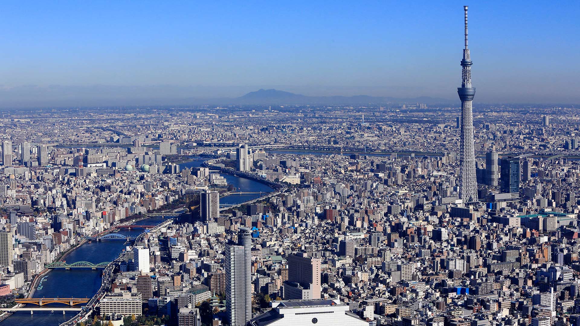 tokyo travel restrictions 2023